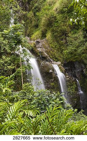 Waterfall, Maui, Hawaii, USA View Large Photo Image Stock Photography - Waterfall, Maui, Hawaii, USA . Fotosearch