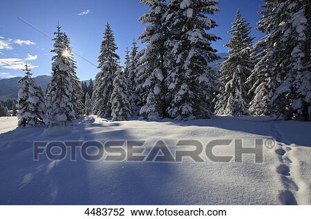 Stock Image - Werdenfelser Land, Bavaria, Germany, Europe . Fotosearch