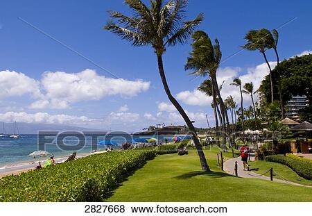 Westin Resort, Maui, Hawaii, USA View Large Photo Image Stock Photo - Westin Resort, Maui, Hawaii, USA . Fotosearch