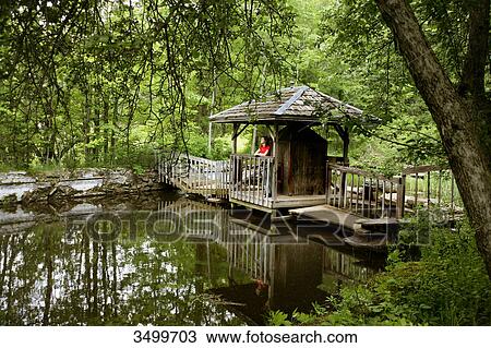 Woman on a wooden bridge by a pond in a forest, elevated view View Large Photo Image Stock Image - Woman on a wooden bridge by a pond in a forest, elevated view . Fotosearch