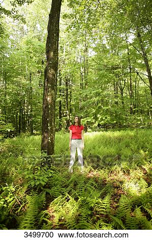 Woman standing in a forest View Large Photo Image Stock Image - Woman standing in a forest . Fotosearch