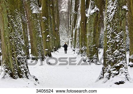 Picture - Woman walking in a park, Hamburg, Germany . Fotosearch