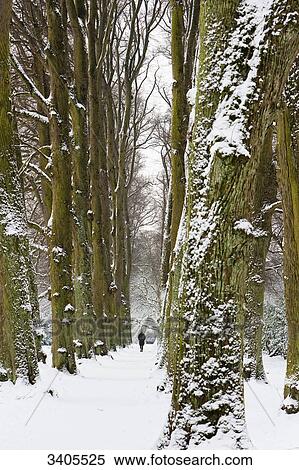Woman walking in a park, Hamburg, Germany View Large Photo Image Stock Photography - Woman walking in a park, Hamburg, Germany . Fotosearch