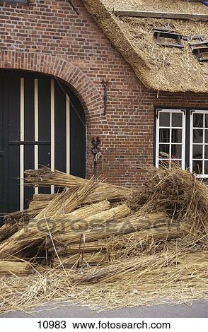 Brushwood in front of house View Large Photo Image Stock Image - Brushwood in front of house . Fotosearch