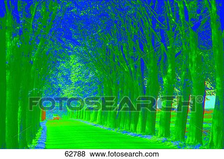 Car traveling on road, Zwiedorf, Altentreptow, Germany View Large Photo Image Stock Photo - Car traveling on road, Zwiedorf, Altentreptow, Germany . Fotosearch