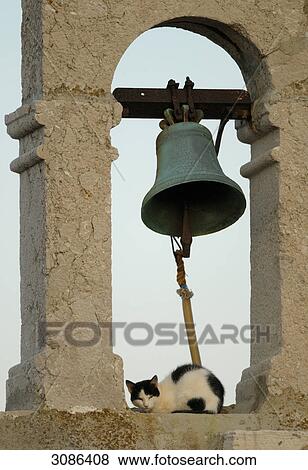 Stock Photo - Cat sitting under church bell, Croatia . Fotosearch
