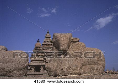 Cattle sculpture in front of monument, Mahabalipuram, Tamil Nadu, India View Large Photo Image Stock Image - Cattle sculpture in front of monument, Mahabalipuram, Tamil Nadu, India . Fotosearch