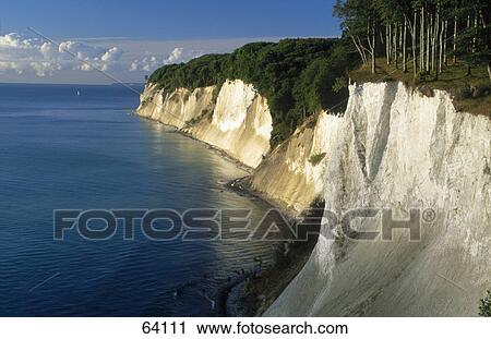 Stock Image - Cliffs on a coast, Stubbenkammer, Jasmund National Park, Rugen island, Mecklenburg-Western Pomerania, Germany . Fotosearch