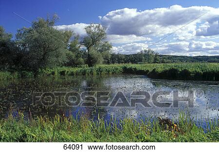 Stock Image - Clouds reflected in a river, Lower Oder Valley National Park, Brandenburg, Oder River, Germany . Fotosearch