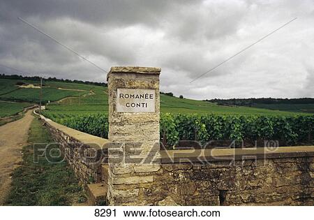Cornerstone at vineyard, Romanee-Conti, Burgundy, France View Large Photo Image Stock Image - Cornerstone at vineyard, Romanee-Conti, Burgundy, France . Fotosearch