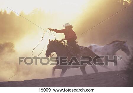 Cowgirl riding horse, Oregon, Usa View Large Photo Image Stock Photo - Cowgirl riding horse, Oregon, Usa . Fotosearch