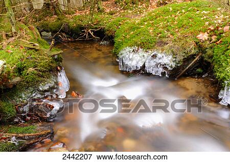 Stock Photo - Creek flowing through forest . Fotosearch