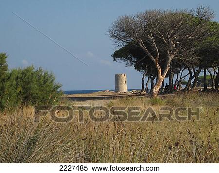 Field with tower in background, Sarazenenturm, Sardinia, Italy View Large Photo Image Stock Photography - Field with tower in background, Sarazenenturm, Sardinia, Italy . Fotosearch