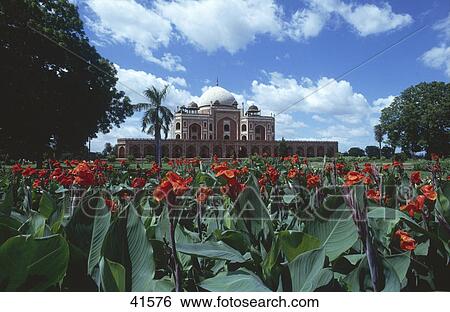 Flowers in garden, Humayun's Tomb, New Delhi, India View Large Photo Image Stock Photograph - Flowers in garden, Humayun's Tomb, New Delhi, India . Fotosearch