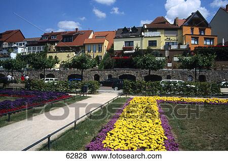 Flowers in garden in front of houses, Waren, Mecklenburg-Vorpommern, Germany  View Large Photo Image Stock Photo - Flowers in garden in front of houses, Waren, Mecklenburg-Vorpommern, Germany . Fotosearch