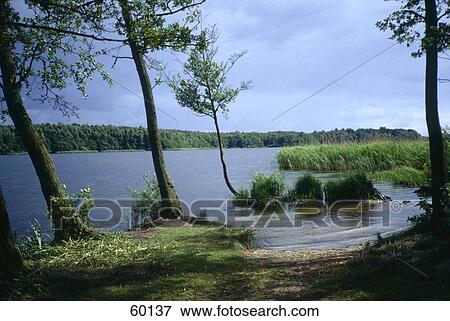 Stock Photo - Grass and trees along lake . Fotosearch