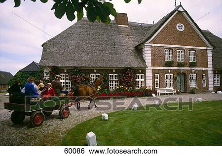 Group of people on carriage, Hohwacht, Schleswig-Holstein, Germany, Europe View Large Photo Image Stock Photograph - Group of people on carriage, Hohwacht, Schleswig-Holstein, Germany, Europe . Fotosearch