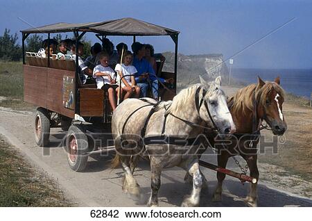 Group of people on horse carriage, Mecklenburg-Vorpommern, Germany, Europe View Large Photo Image Stock Image - Group of people on horse carriage, Mecklenburg-Vorpommern, Germany, Europe . Fotosearch