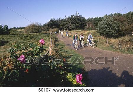 Group of people riding bicycle, Schleswig-Holstein, Germany, Europe View Large Photo Image Stock Photo - Group of people riding bicycle, Schleswig-Holstein, Germany, Europe . Fotosearch