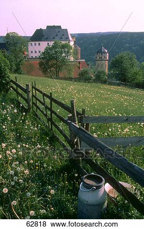 Stock Photo - High angle view of dandelions in field, Germany, Europe . Fotosearch