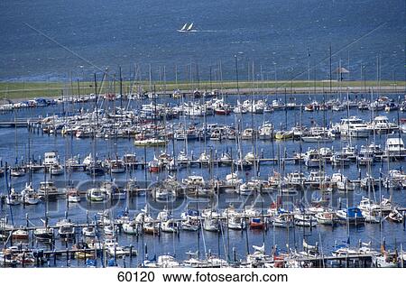 High angle view of fishing boats docked at harbor View Large Photo Image Stock Image - High angle view of fishing boats docked at harbor . Fotosearch