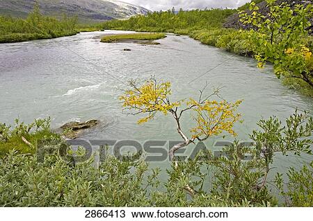 Stock Image - High angle view of river, Rapadalen, Sarek National Park, Jokkmokk Municipality, Lapland Province, Sweden . Fotosearch