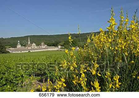 Monastery surrounded by fields, Chartreuse De La Valbonne, Provence-Alpes-Cote d'Azur, France View Large Photo Image Stock Photo - Monastery surrounded by fields, Chartreuse De La Valbonne, Provence-Alpes-Cote d'Azur, France . Fotosearch