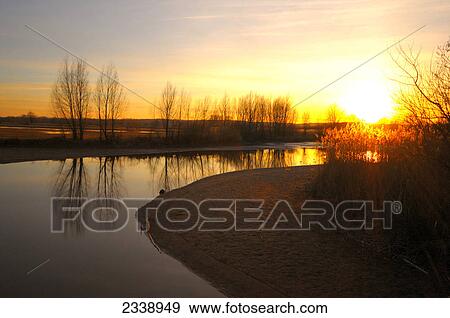 Reflection of bare trees in water at sunset, Bavaria, Germany View Large Photo Image Stock Photo - Reflection of bare trees in water at sunset, Bavaria, Germany . Fotosearch