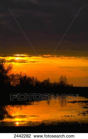 Stock Image - Reflection of trees and sun in lake . Fotosearch