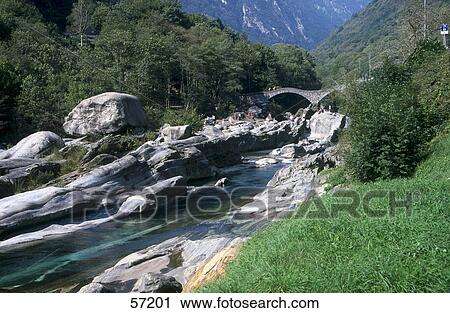 Stock Image - River flowing through a forest . Fotosearch