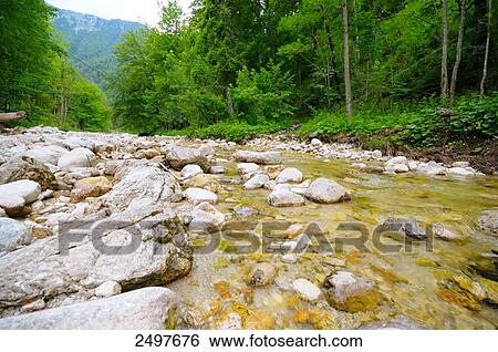 River flowing through forest, Styria, Austria View Large Photo Image Stock Photograph - River flowing through forest, Styria, Austria . Fotosearch