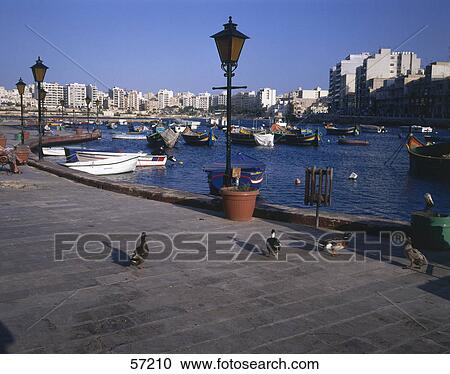 Seagulls at harbor, Valetta, Malta View Large Photo Image Stock Image - Seagulls at harbor, Valetta, Malta . Fotosearch