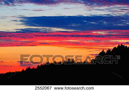 Stock Photo - Silhouette of trees at dusk, Franconia, Bavaria, Germany . Fotosearch