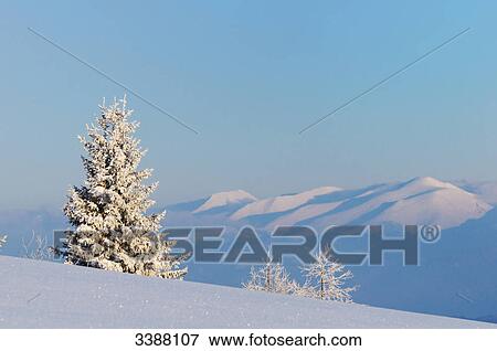 Snow-covered mountain pasture, Styria, Austria View Large Photo Image Stock Photo - Snow-covered mountain pasture, Styria, Austria . Fotosearch
