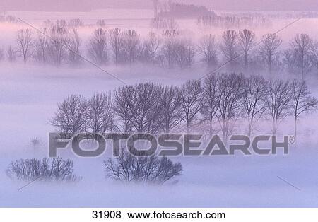Snow covered trees on landscape View Large Photo Image Stock Photo - Snow covered trees on landscape . Fotosearch