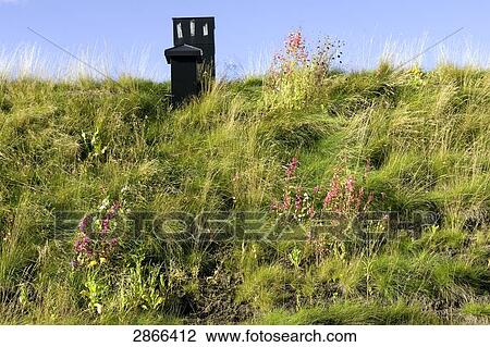 Stock Image - Structure in grassland, Telemark, Norway . Fotosearch