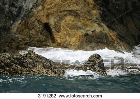 Stock Image - Surge at rocky coast, Costa Brava, Catalonia, Spain . Fotosearch