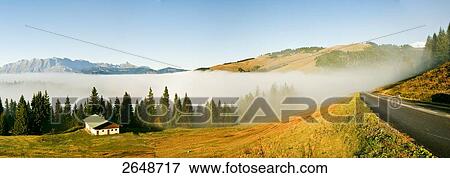 Stock Photo - Trees in forest, France . Fotosearch
