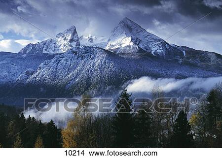 Trees in front of mountain, Watzmann, Berchtesgaden, Bavaria, Germany View Large Photo Image Picture - Trees in front of mountain, Watzmann, Berchtesgaden, Bavaria, Germany . Fotosearch