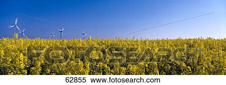 Stock Photography - Wind turbines in field . Fotosearch