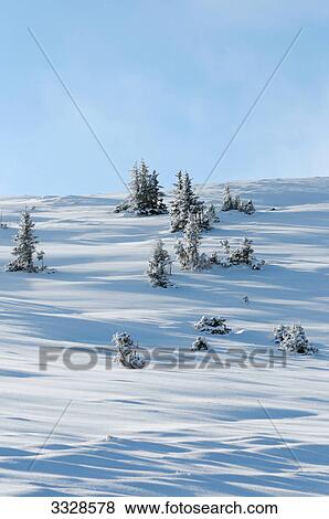 Stock Photo - Winter landscape, Styria, Austria . Fotosearch