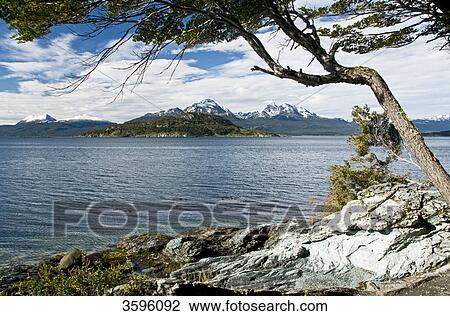 Bahia Ensenada in Tierra del Fuego National Park, Argentina View Large Photo Image Stock Image - Bahia Ensenada in Tierra del Fuego National Park, Argentina . Fotosearch