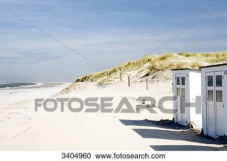 Beach houses on the beach of Texel, Netherlands View Large Photo Image Stock Image - Beach houses on the beach of Texel, Netherlands . Fotosearch