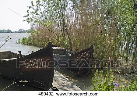 Boats moored in river, Vylkove, Kiliyskyi Raion, Odessa Oblast, Ukraine View Large Photo Image Stock Image - Boats moored in river, Vylkove, Kiliyskyi Raion, Odessa Oblast, Ukraine . Fotosearch