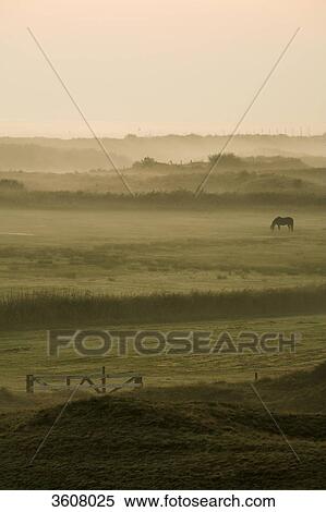 Break of dawn above Texel, Netherlands View Large Photo Image Stock Photography - Break of dawn above Texel, Netherlands . Fotosearch