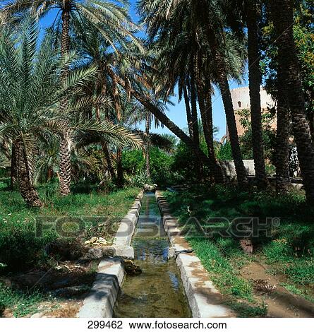 Canal flowing through garden, Al Batinah, Oman View Large Photo Image Stock Image - Canal flowing through garden, Al Batinah, Oman . Fotosearch