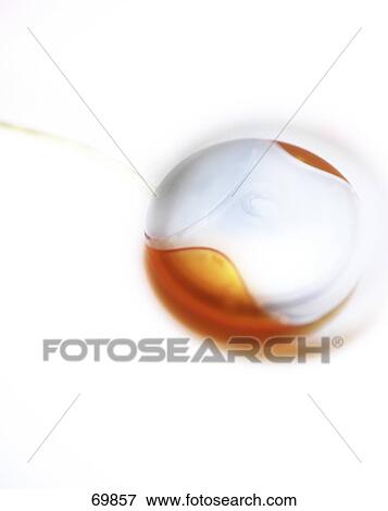 Close-up of computer mouse View Large Photo Image Stock Photo - Close-up of computer mouse . Fotosearch
