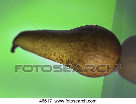 Close-up of pear View Large Photo Image Stock Photo - Close-up of pear . Fotosearch