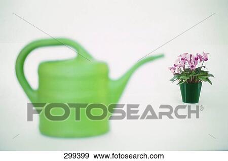 Close-up of watering can and potted plant  View Large Photo Image Stock Photo - Close-up of watering can and potted plant . Fotosearch
