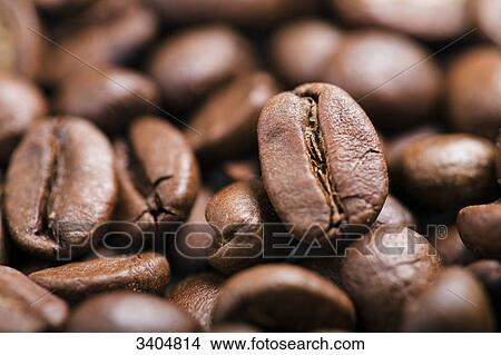 Coffee beans, close-up View Large Photo Image Picture - Coffee beans, close-up . Fotosearch